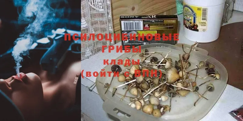 blacksprut ONION  Ясногорск  Галлюциногенные грибы мицелий 