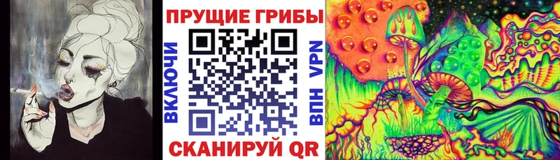 купить наркотики сайты  Ясногорск  Псилоцибиновые грибы Cubensis 